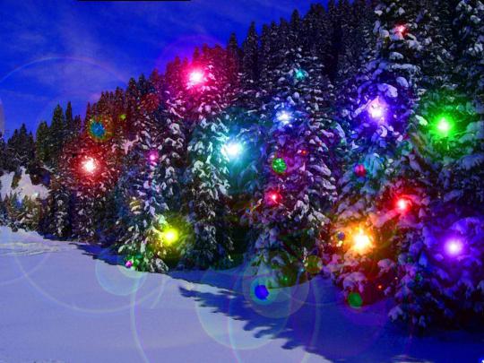 Free Christmas Lights Wallpapers