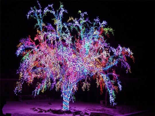 Free Christmas Lights Wallpapers
