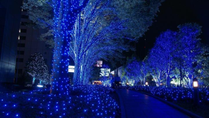 Christmas Lights Wallpapers
