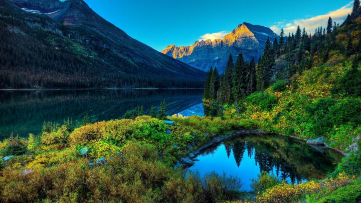 Wallpaper 2560x1440 \u00b7\u2460 Download free cool wallpapers for desktop 