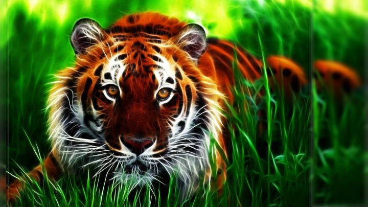Cool 3D Desktop Wallpaper Tiger -