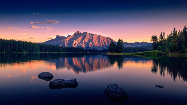 48+ 2560x1440 wallpapers \u00b7\u2460 Download free amazing full HD backgrounds 