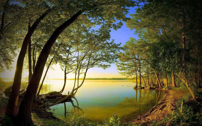 Wallpaper Nature Full Size Desktop 2017 \u00b7\u2460 