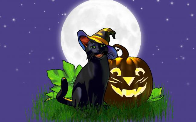 Pumpkin Halloween HD Wallpaper