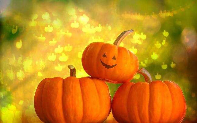 Free Halloween Wallpapers