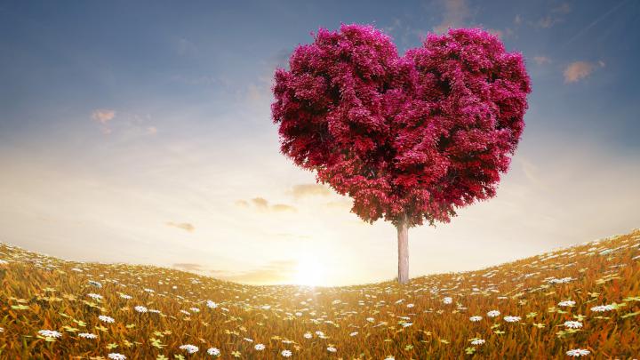 Love Wallpapers Images \u00b7\u2460 