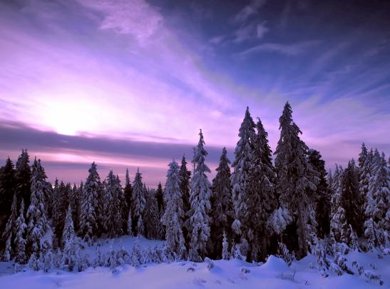 High quality desktop wallpaper of nature, image of winter, sunset 
