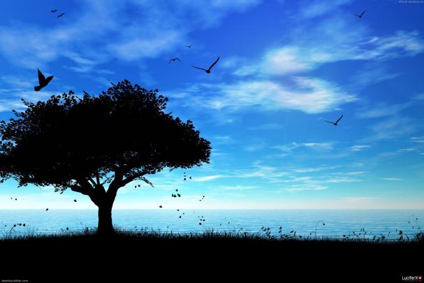 1366X768 Desktop Wallpaper High Quality -