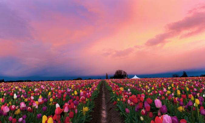 Widescreen Desktop Wallpapers - Top Free Widescreen Desktop Backgrounds 