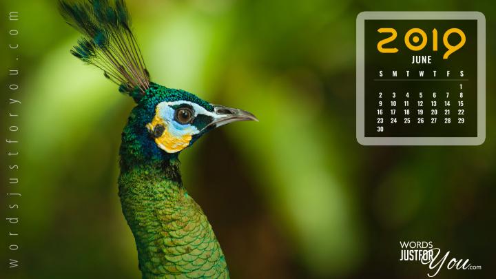 June 2019 HD Calendar Desktop Wallpaper - 21 | Words Just for You 