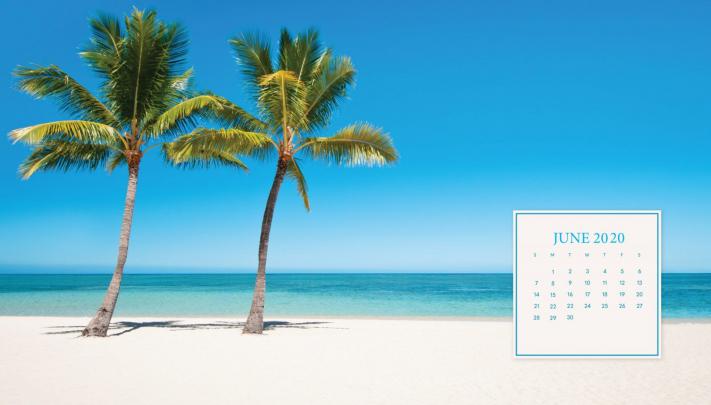 June 2020 Desktop Background Calendar | Desktop calendar, Calendar 