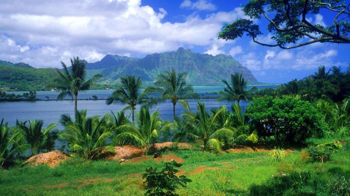 Nature Wallpaper 1920x1080 (75+ pictures)