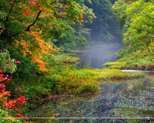 13++ Nature Wallpaper 1920x1080 4k - Venera Wallpaper