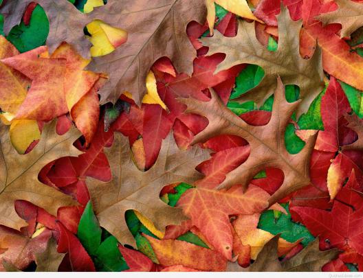 Best 52+ September Wallpaper on HipWallpaper | September Desktop 