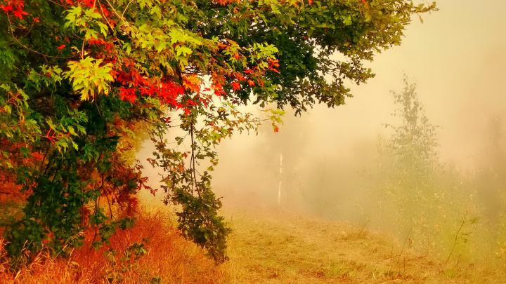 [49+] September Wallpaper Backgrounds 