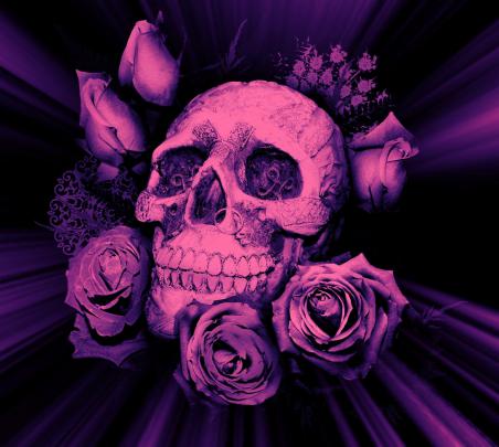 Purple Skull Wallpapers
