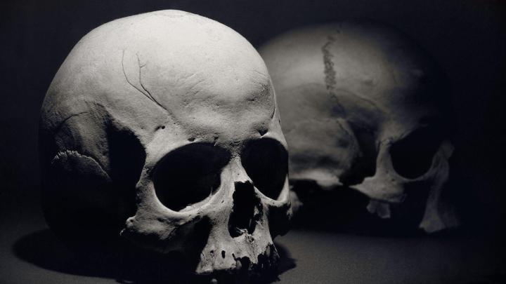 Skull Wallpapers 1920x1080
