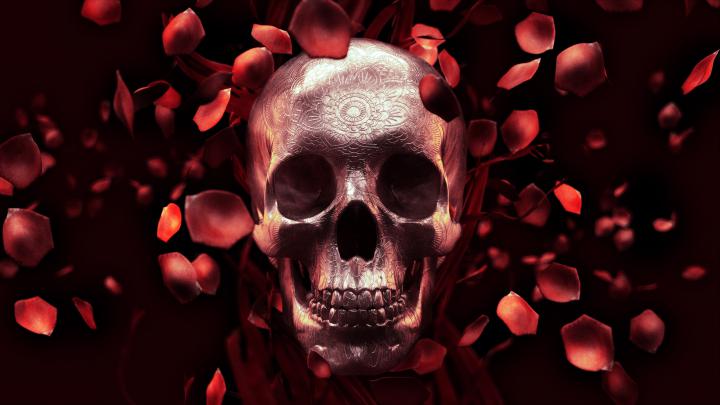 Horror Skull Wallpapers (44+ images)