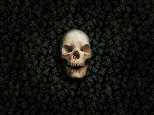 wallpapers: Horror Skull Wallpapers