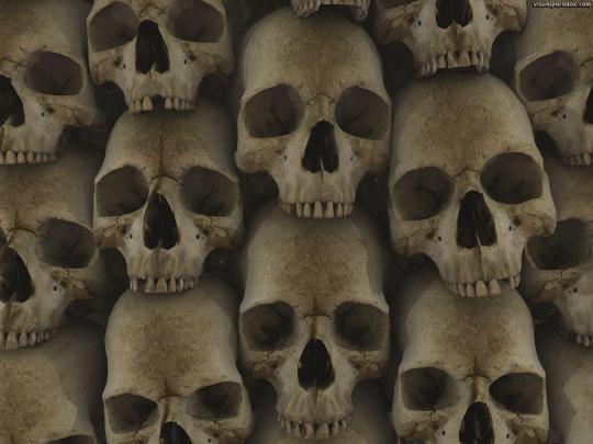 Free 3D Skull Wallpapers