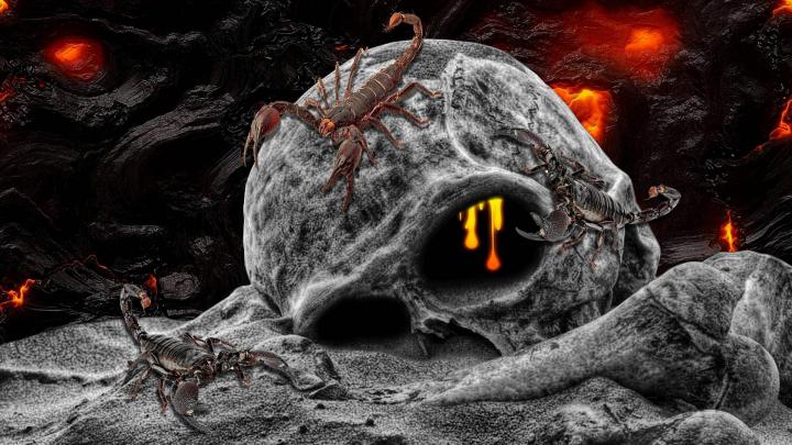 Skull Wallpapers Full HD