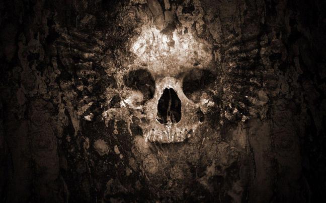 HD Skull Wallpapers
