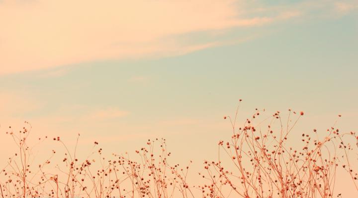 Soft Aesthetic Computer Wallpapers - Top Free Soft Aesthetic Computer 