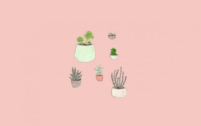 Soft Aesthetic Desktop Wallpapers
