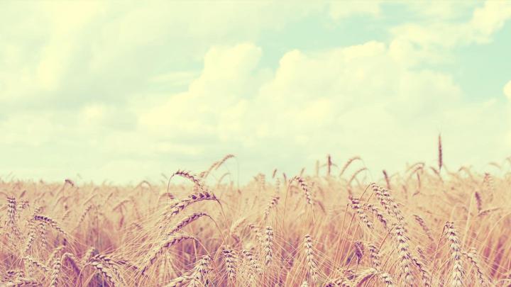 Soft Aesthetic Desktop Wallpapers
