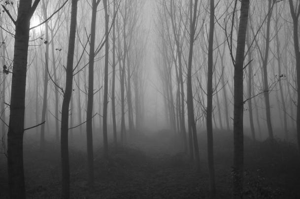 Spooky wallpaper \u00b7\u2460 Download free amazing High Resolution wallpapers 
