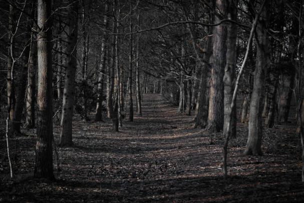 [48+] Spooky Desktop Wallpaper 