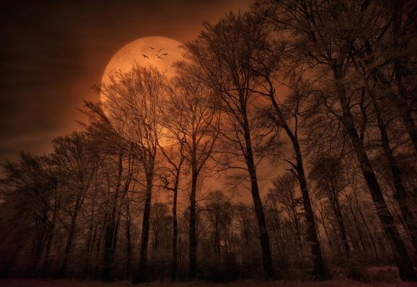 Spooky Wallpaper (68+ images)