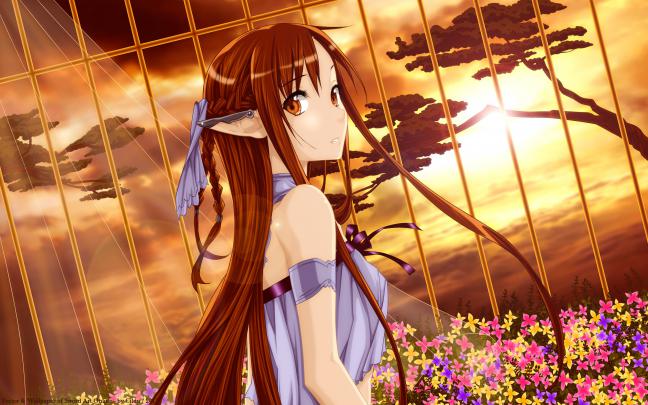 sword, Art, Online Wallpapers HD \/ Desktop and Mobile Backgrounds