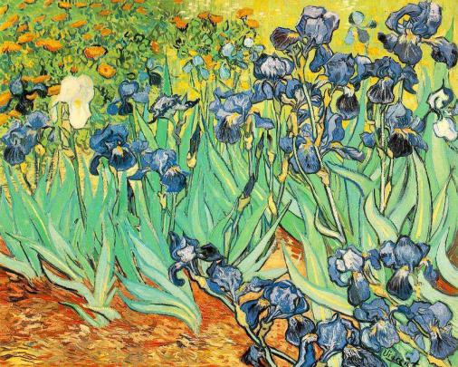 Van Gogh Desktop Wallpapers