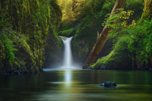 water, Green, Nature, Waterfall Wallpapers HD \/ Desktop and Mobile 