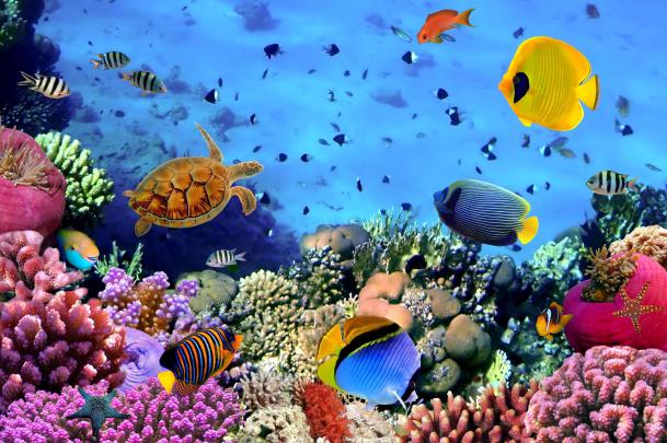 Under Water Background \u00b7\u2460 