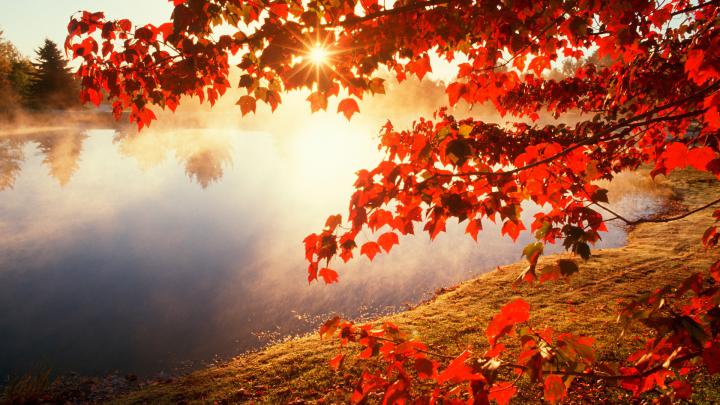 Early Fall Desktop Wallpapers (43+ images)