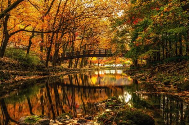 Autumn River HD Wallpaper