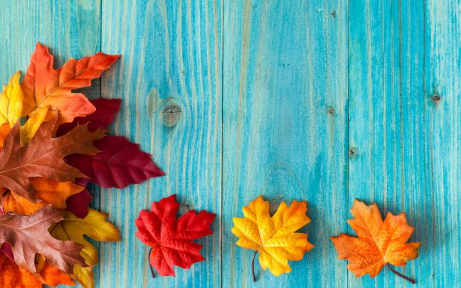 Fall Wallpapers, Pictures, Images