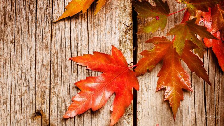 Rustic Autumn HD desktop wallpaper : Widescreen : High Definition 