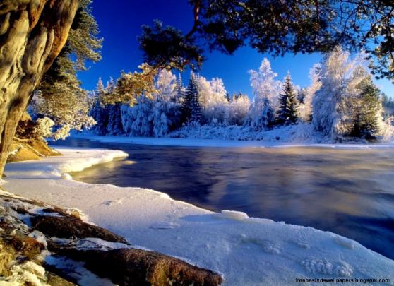 Winter Wallpaper 1920X1080 | Free Best Hd Wallpapers