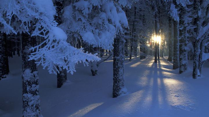 [35+] Winter Wallpaper 1920x1080 