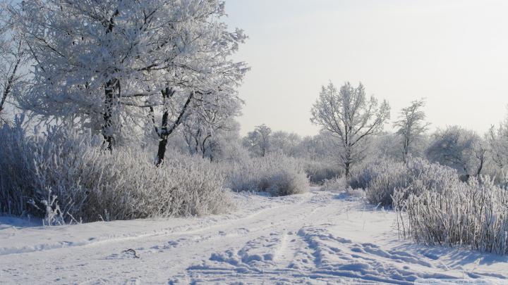 [35+] Winter Wallpaper 1920x1080 