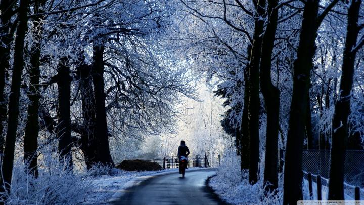 Winter Wallpaper 1920x1080 -