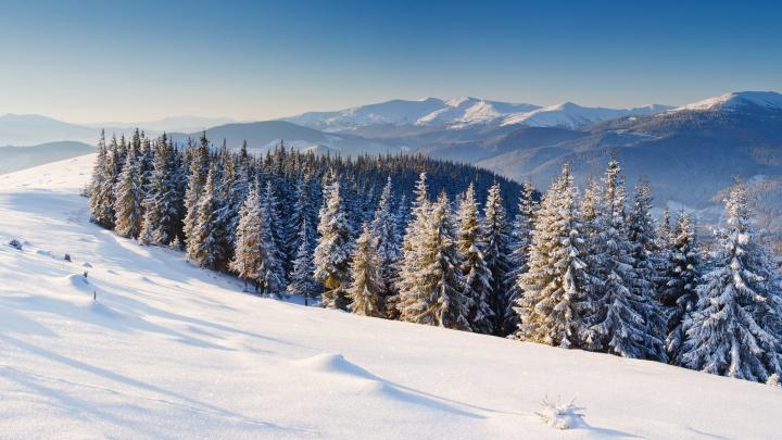 Winter HD Wallpaper | Background Image | 1920x1080 | 657562 