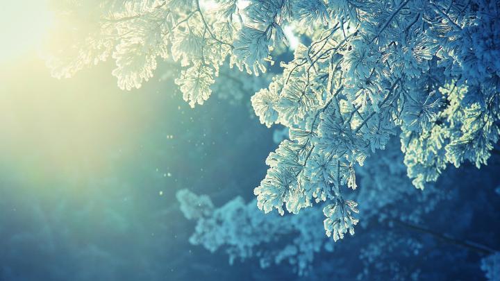 Winter wallpaper 1920x1080 \u00b7\u2460 Download free amazing High Resolution 