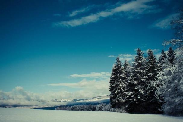 Winter wallpaper 1920x1080 \u00b7\u2460 Download free amazing High Resolution 