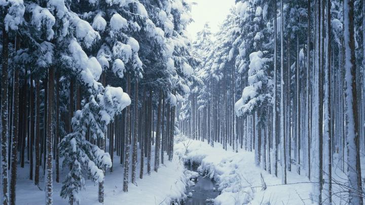Winter Wallpaper 1920x1080 (63+ images)