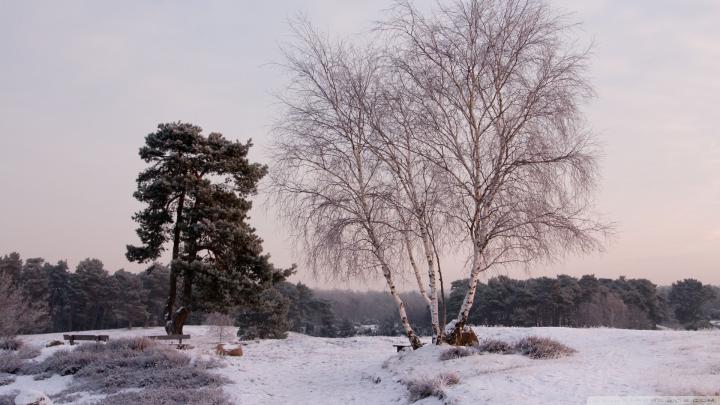 [35+] Winter Wallpaper 1920x1080 