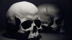 Skull Desktop Wallpaper